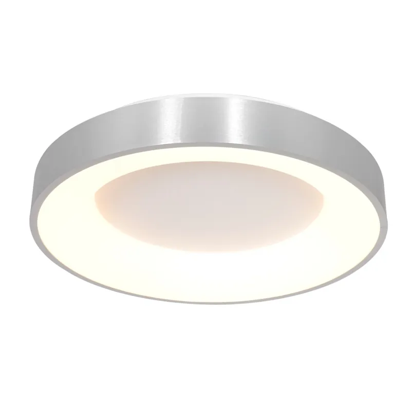 Plafondlamp Steinhauer Ringlede LED 2563ZI Gratis Retour
