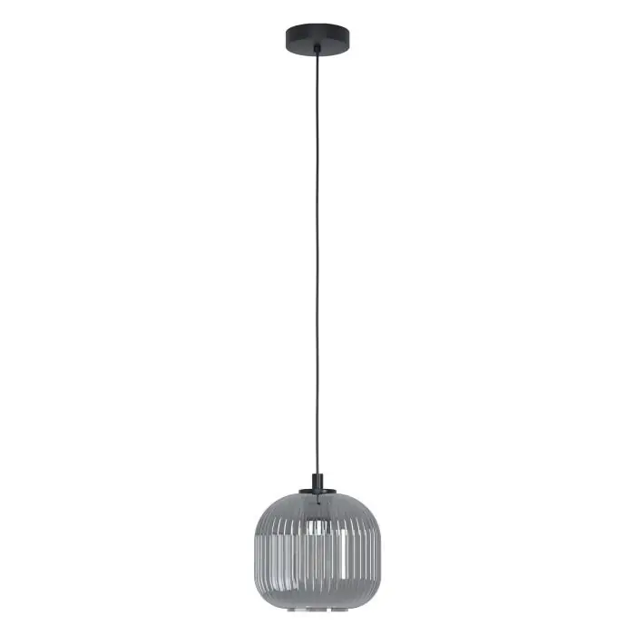 Professioneel Hanglamp Eglo Mantunalle 1 99371