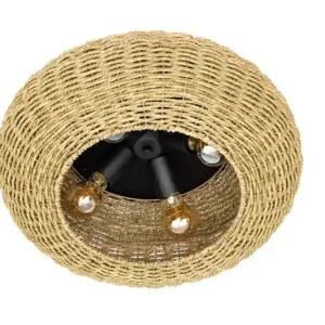 Alleen Vandaag Plafondlamp ETH Nina 05-PL2100-500
